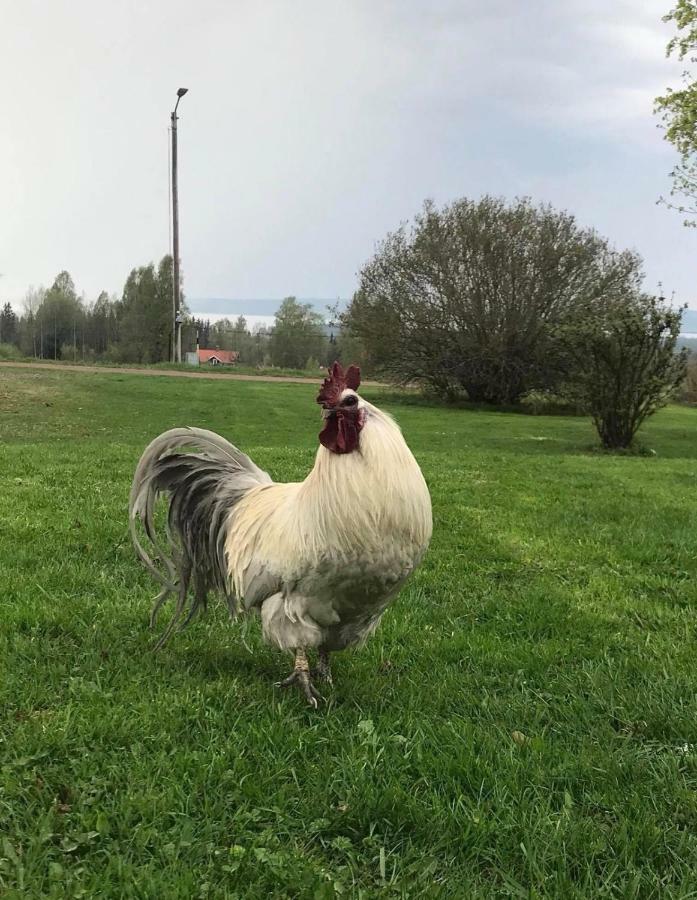 Det Gamla Panget Villa Tällberg Екстериор снимка